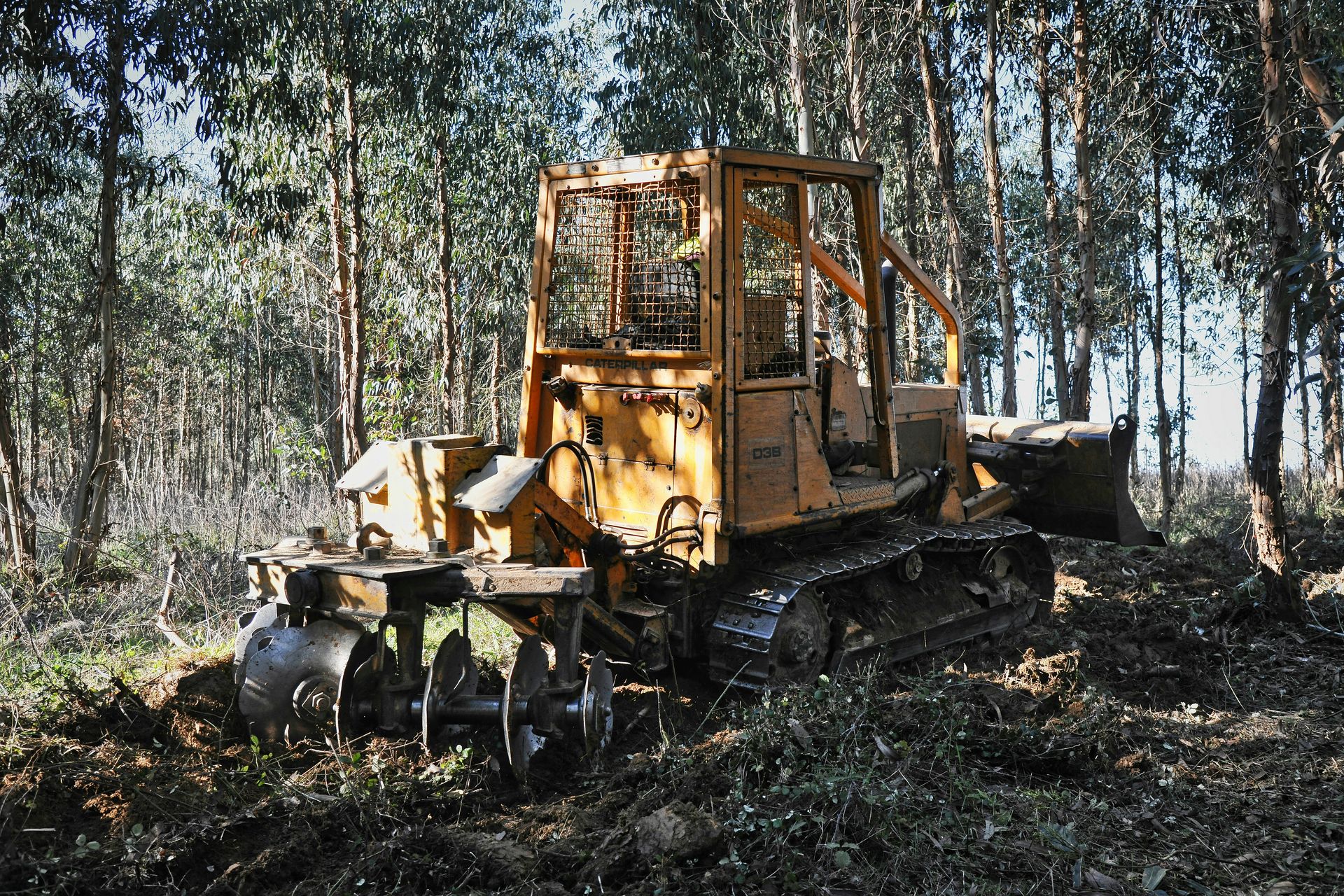 a bulldozer in the middle of a forest